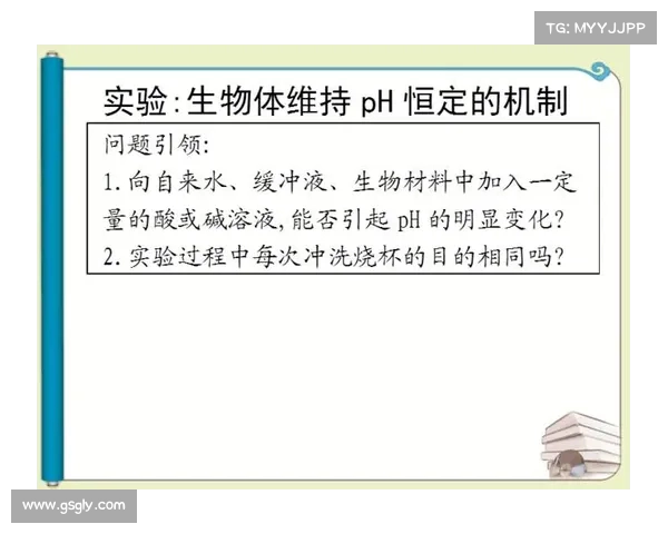 以力为核心探讨物体运动的持续与维持机制及其应用 以力为核心探讨物体运动的持续与维持机制及其应用