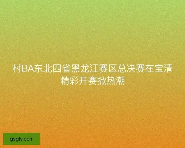 村BA东北四省黑龙江赛区总决赛在宝清精彩开赛掀热潮