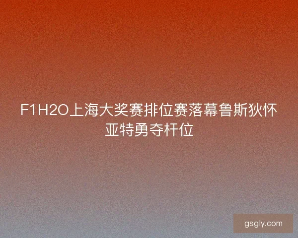 F1H2O上海大奖赛排位赛落幕鲁斯狄怀亚特勇夺杆位