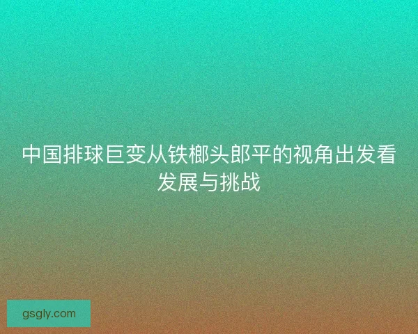 中国排球巨变从铁榔头郎平的视角出发看发展与挑战
